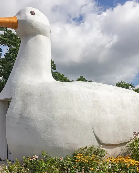 Big Duck