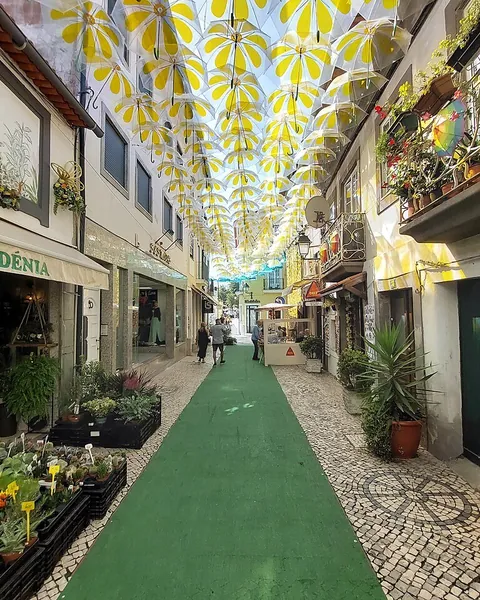 Umbrella Sky Project