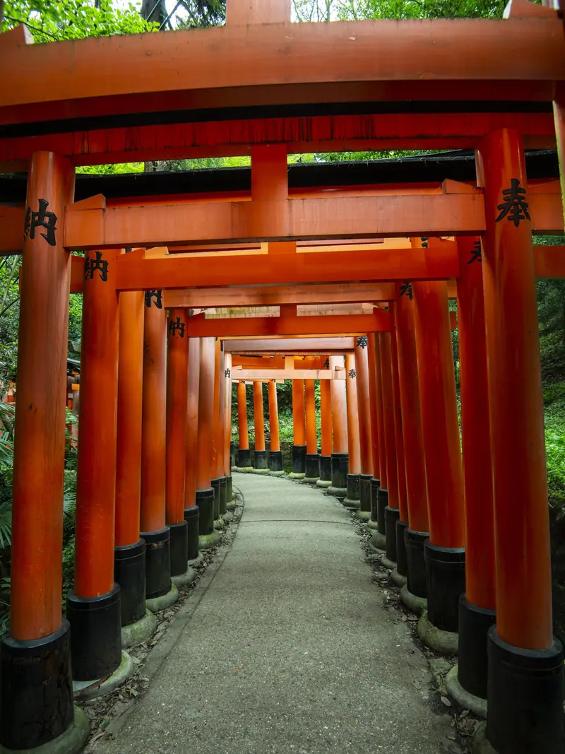 A tunnel of red torii gates over a stone path at Fushimi Inari Taisha, Kyoto
