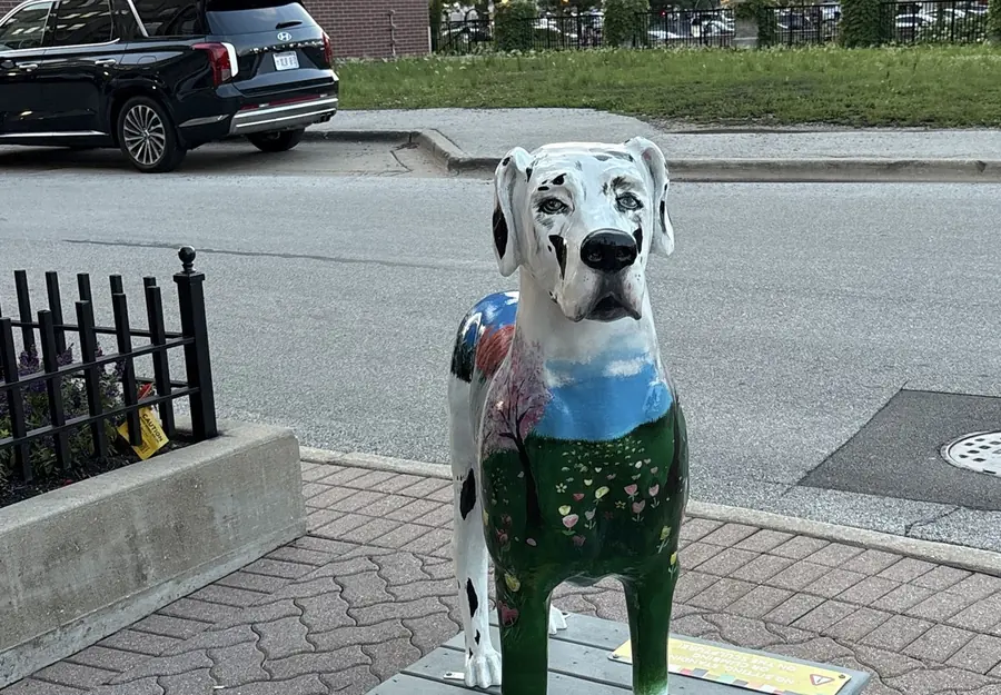 The painted Dalmatian in downtown Naperville